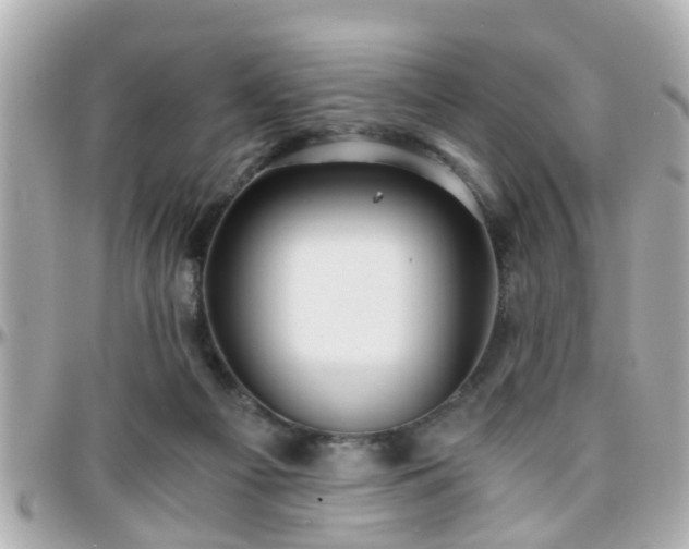 X0000096200121200801251021