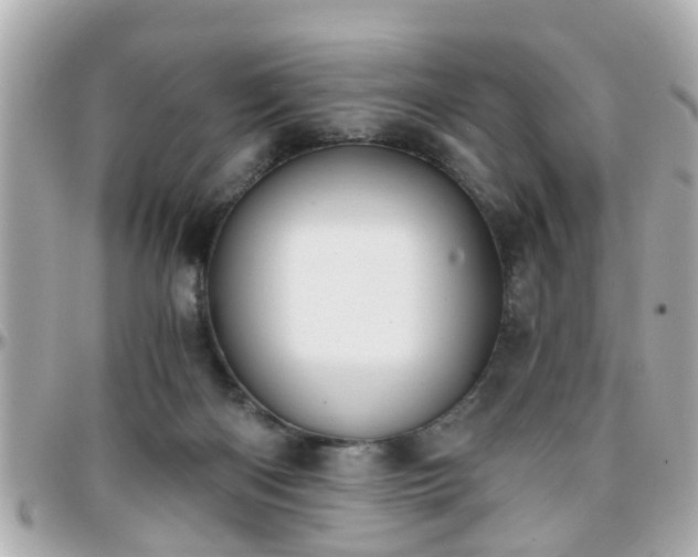 X0000096200122200801251021