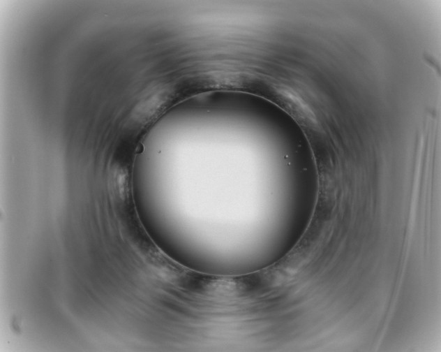 X0000096200123200801251021