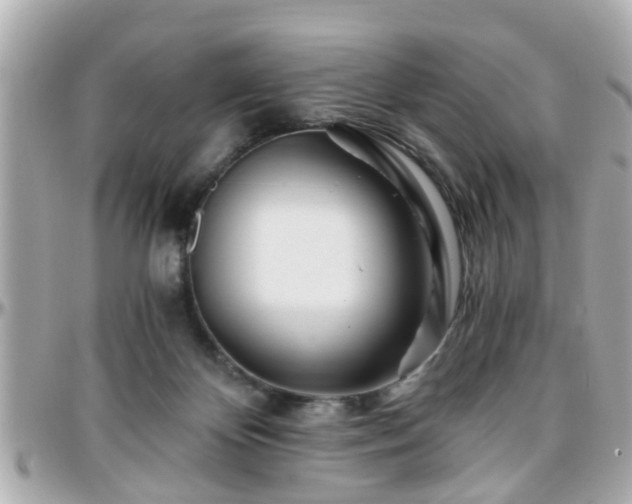 X0000096200124200801251021