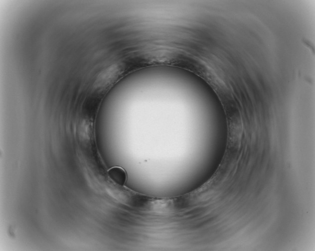 X0000096200126200801251021