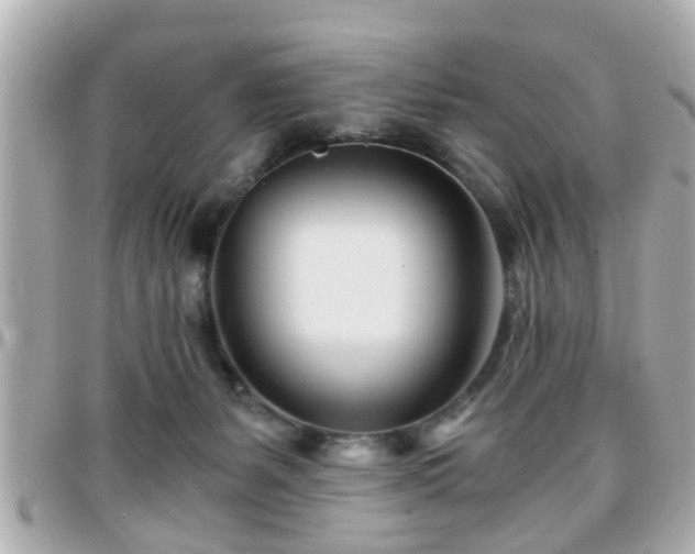 X0000096200127200801251021