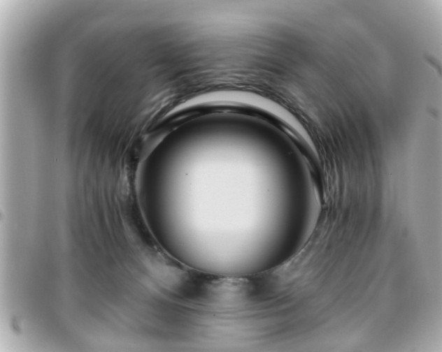 X0000096200128200801251021