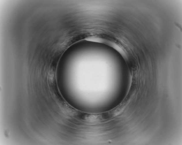 X0000096200129200801251021