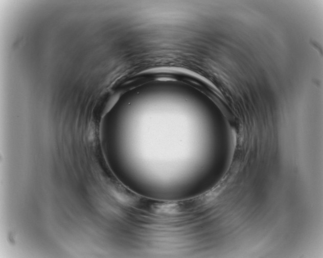 X0000096200132200801251021