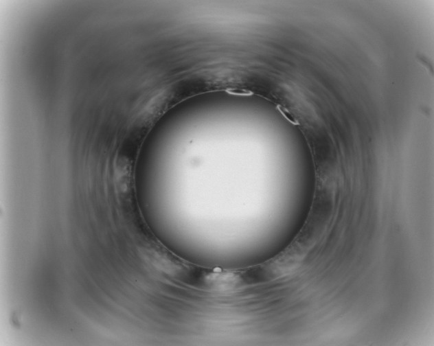 X0000096200133200801251021