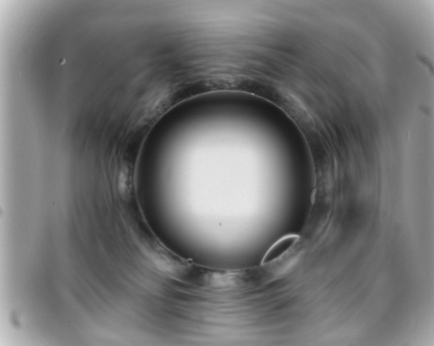 X0000096200134200801251020