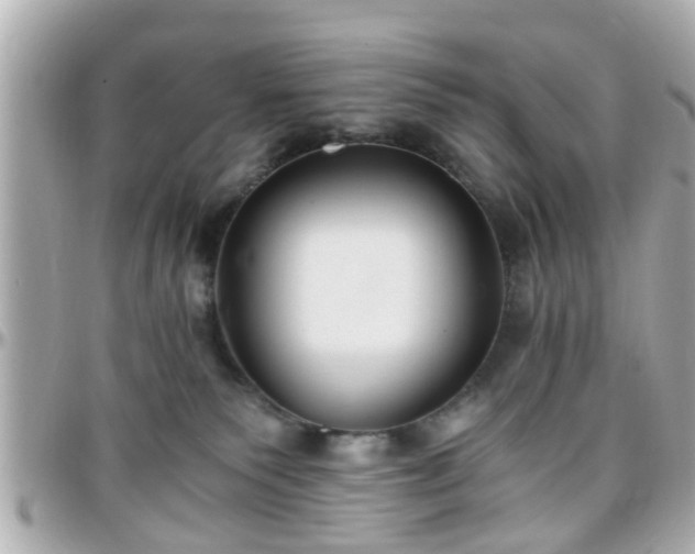 X0000096200135200801251020