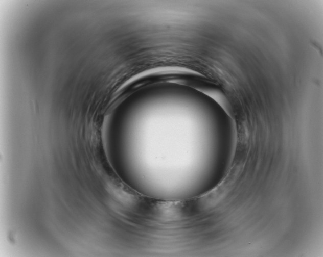 X0000096200136200801251020