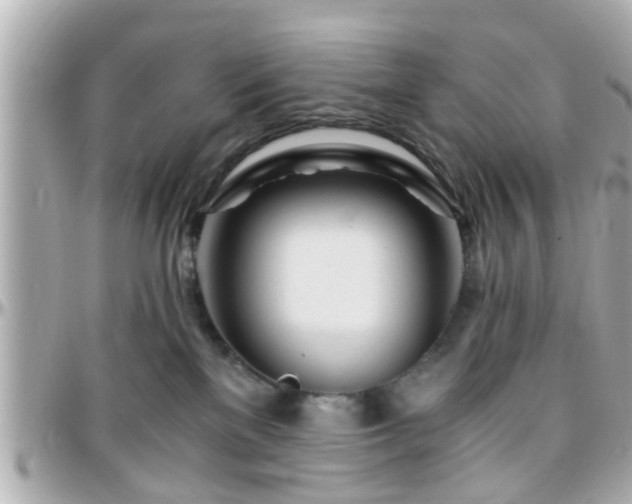 X0000096200137200801251020