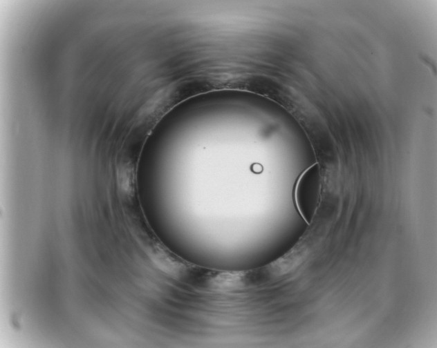 X0000096200138200801251020