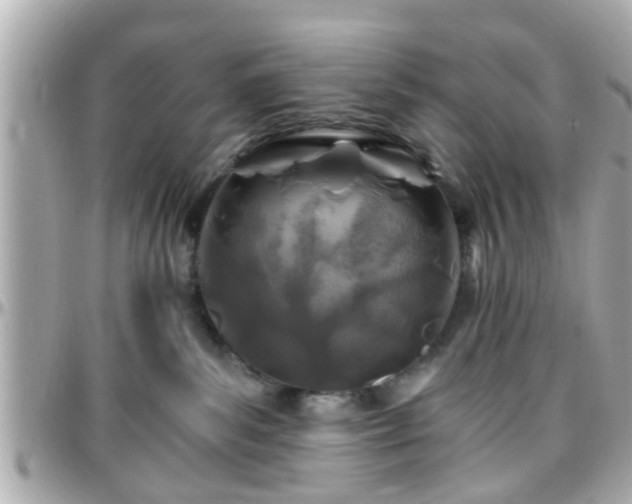 X0000096200139200801251020