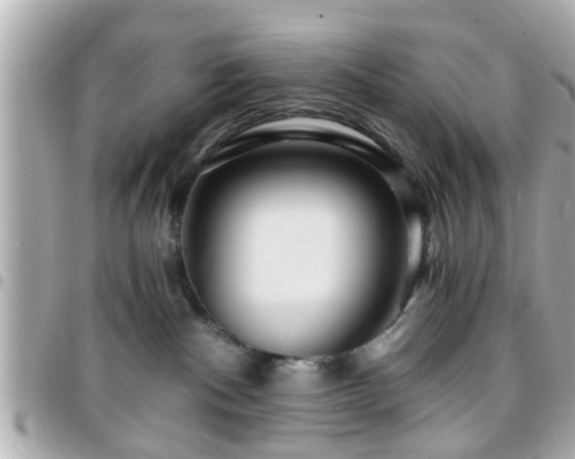 X0000096200140200801251020