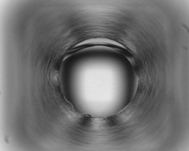 X0000096200141200801251020