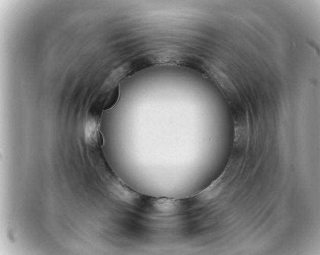 X0000096200142200801251020