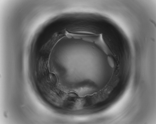 X0000096200143200801251020