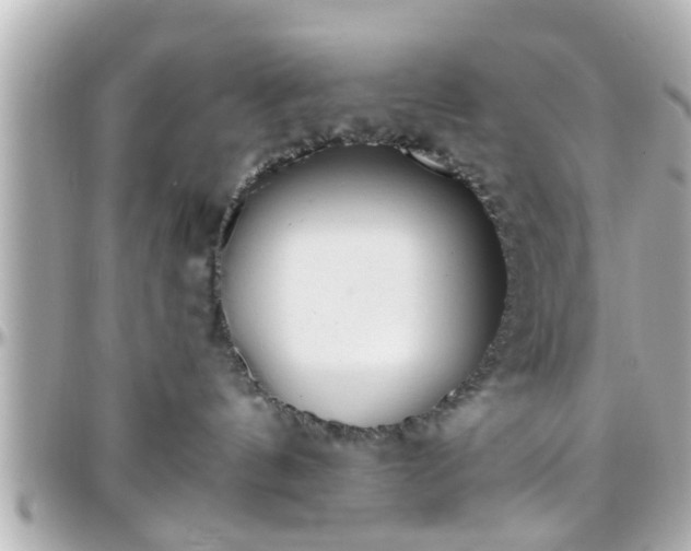 X0000096200144200801251020