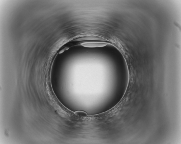 X0000096200145200801251020