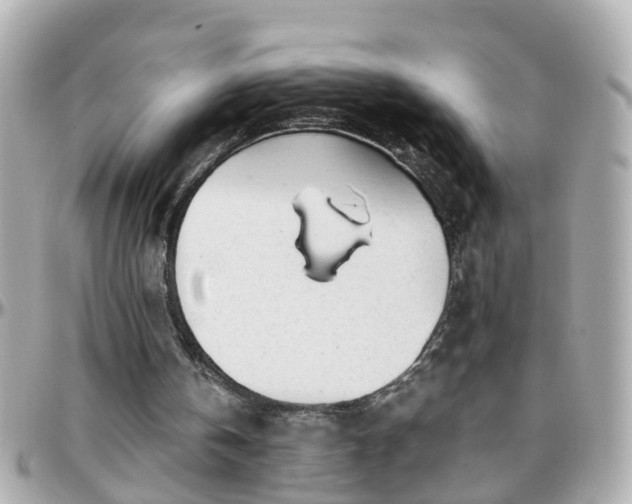 X0000096200146200801251020