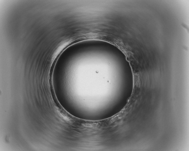 X0000096200147200801251020