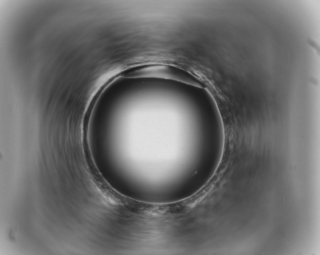 X0000096200148200801251020