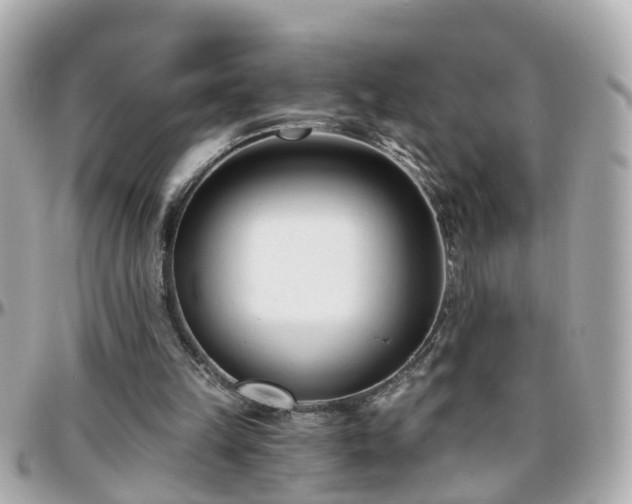 X0000096200149200801251020