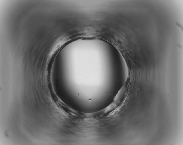 X0000096200150200801251020