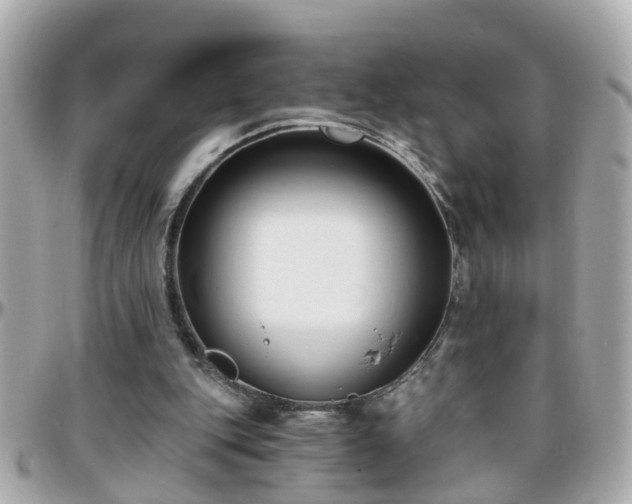 X0000096200151200801251020