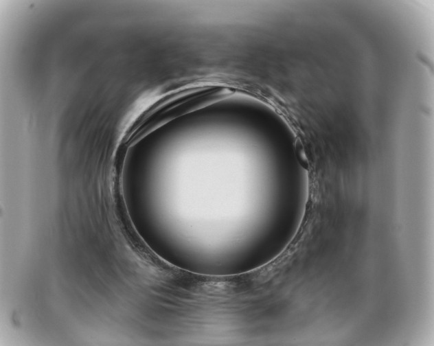 X0000096200152200801251020