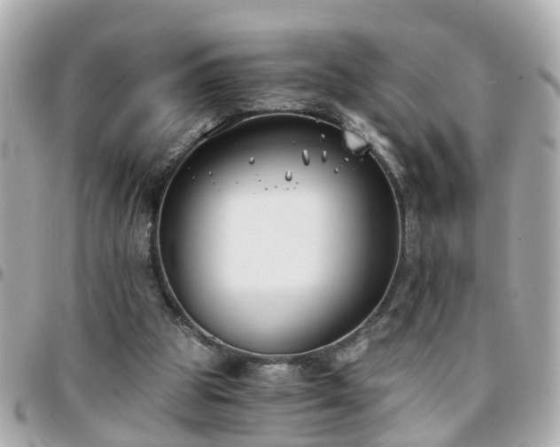 X0000096200153200801251020