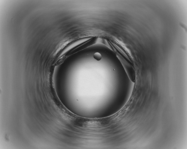 X0000096200154200801251020