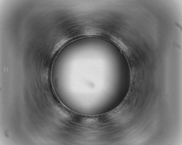 X0000096200155200801251020