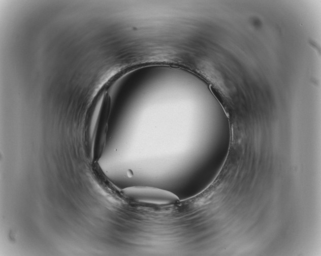 X0000096200156200801251020