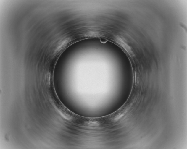 X0000096200157200801251020