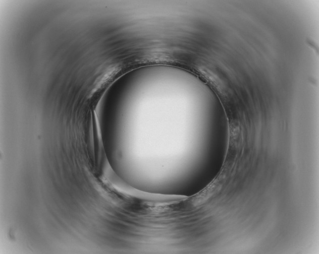 X0000096200158200801251020