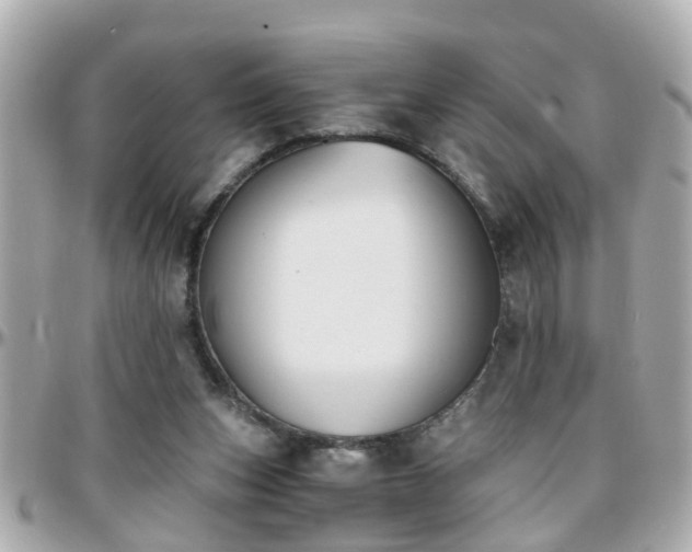 X0000096200159200801251020