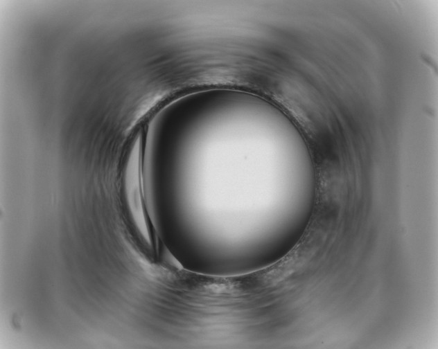 X0000096200160200801251020