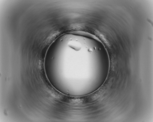 X0000096200161200801251020