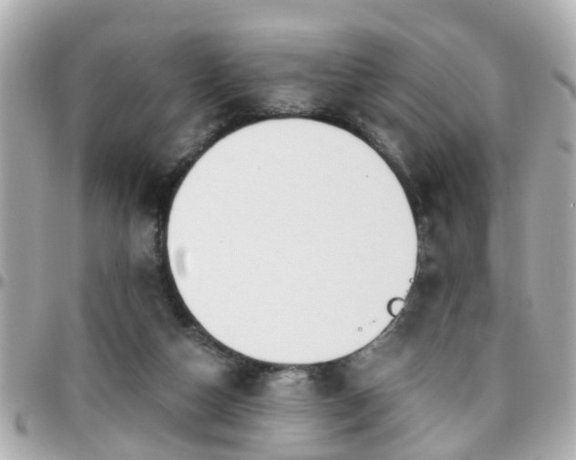 X0000096200162200801251020