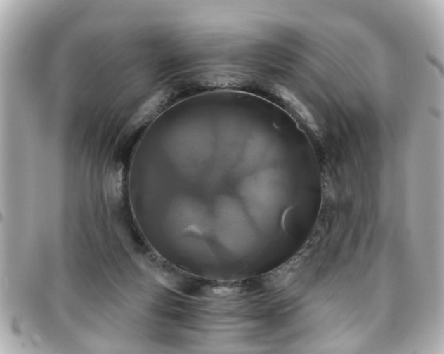 X0000096200163200801251020