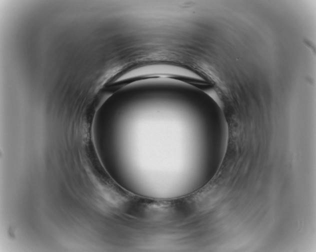 X0000096200164200801251020