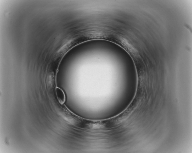 X0000096200165200801251020