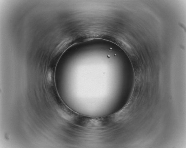 X0000096200166200801251020