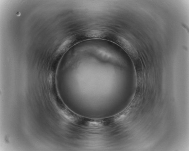 X0000096200167200801251020