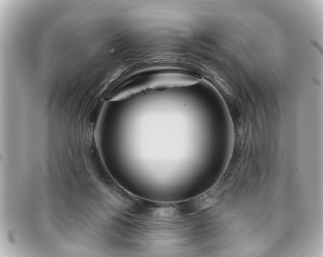 X0000096200168200801251020