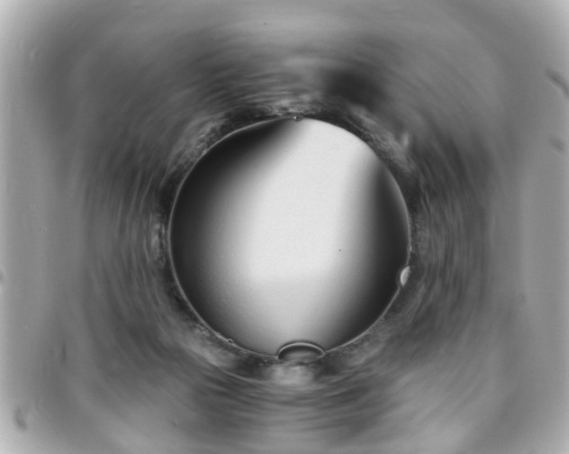 X0000096200169200801251020