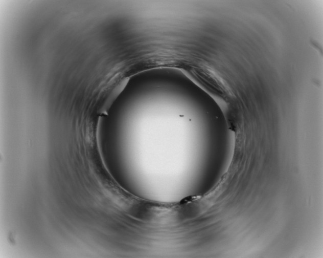 X0000096200170200801251020