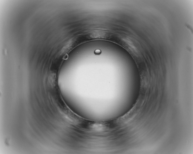 X0000096200171200801251020