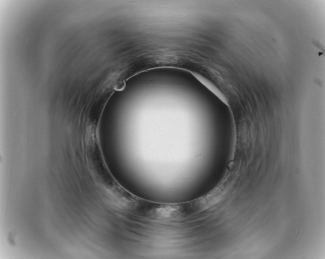 X0000096200172200801251020