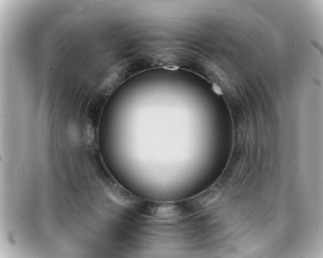 X0000096200173200801251020